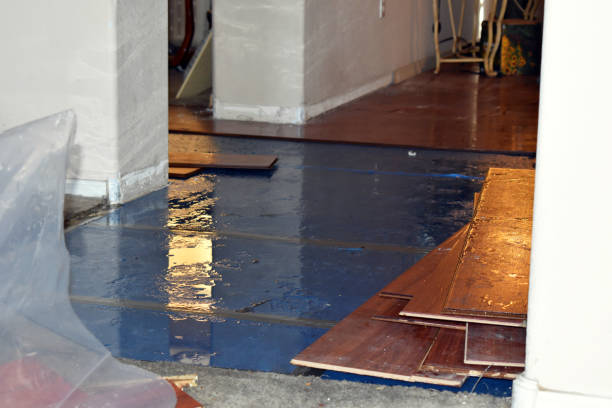 Professional Basement Water Removal technician working in Bannock, OH