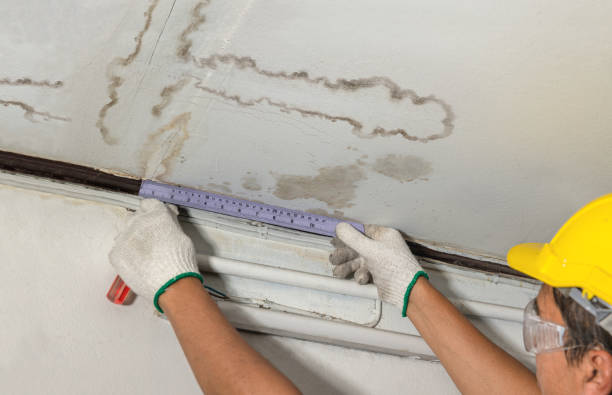 Reliable Basement Water Removal contractor in Bannock, OH by Water Damage Irwin